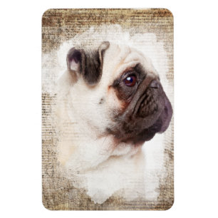 Imán Retrato de época de Pug