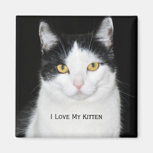 Imán Retrato de gato negro y blanco