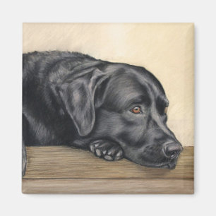Imán Retrato de Labrador Negro