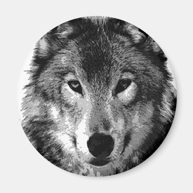 Imán Retrato de lobo blanco y negro (Frente)