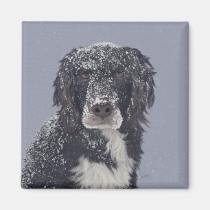 Imán retrato de mascota mezcla de perro spaniel