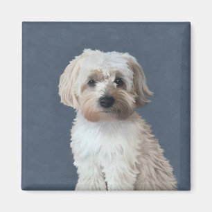 Imán retrato de mascota perro Shorkie