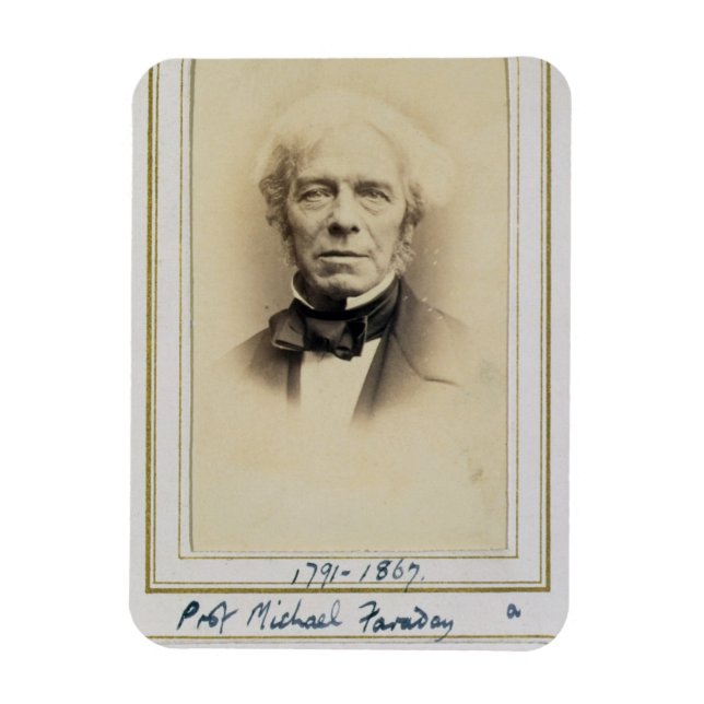 Imán Retrato de Michael Faraday (1791-1867) (albumen p (Vertical)