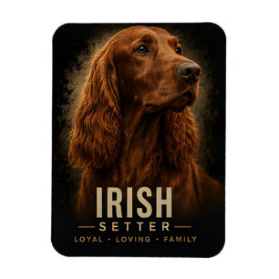 Imán Retrato de perro de familia leal y cariñoso Setter