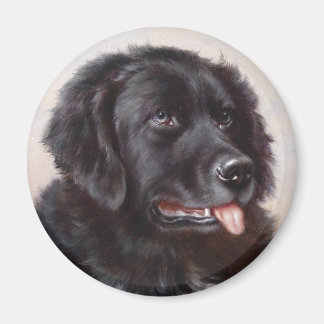 Imán Retrato de perro de Terranova
