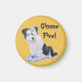 Imán retrato de perro pintura de un lindo collie de fro