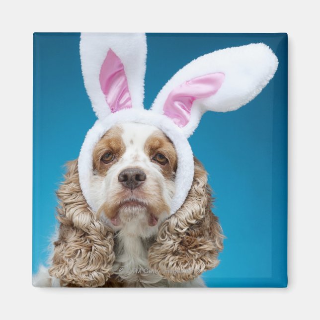 Imán Retrato de perro que usa orejas de conejito de Pas (Frente)
