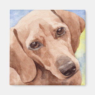 Imán Retrato de perro salchicha de pelo corto