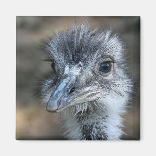 Imán Retrato de Rhea del americano