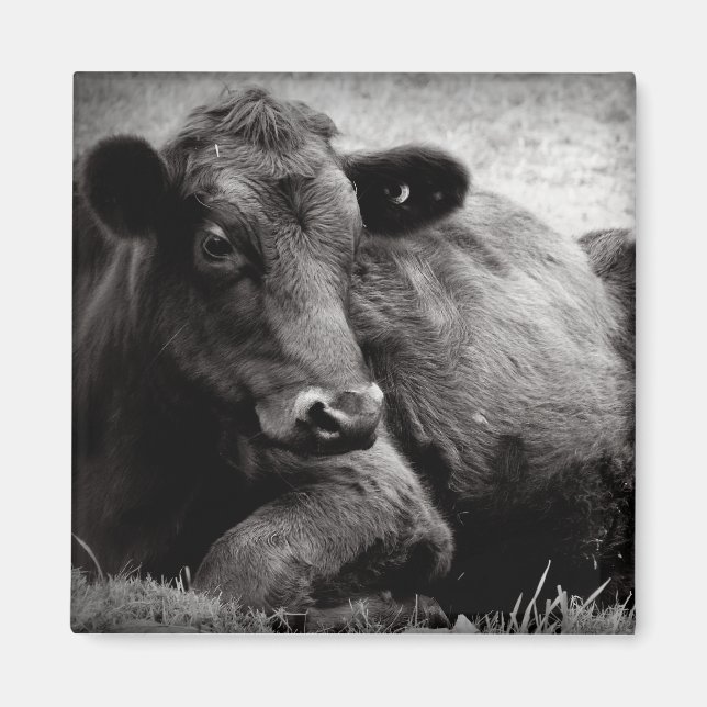 Imán Retrato de un águila (Frente)