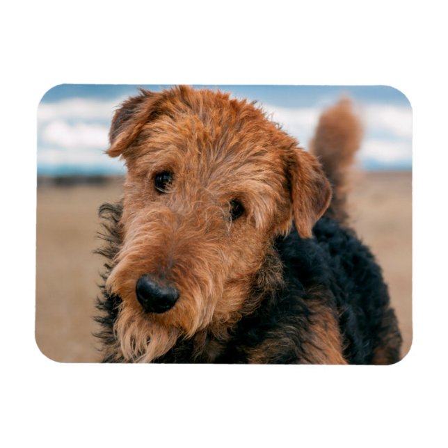Imán Retrato de un Airedale Terrier (Horizontal)