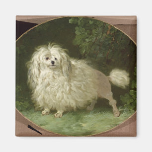 Imán Retrato de un caniche
