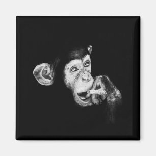 Imán Retrato de un pensador chimpancé