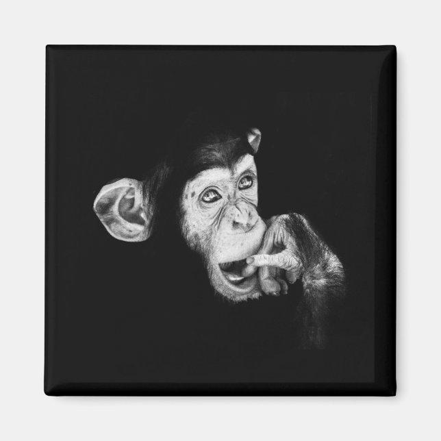 Imán Retrato de un pensador chimpancé (Frente)