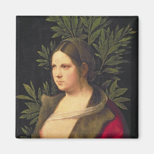 Imán Retrato de una mujer joven, 1506