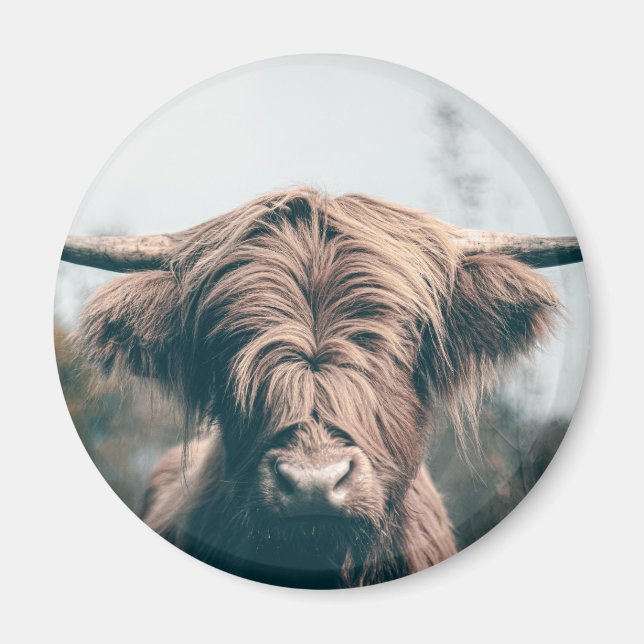 Imán Retrato de vaca Highland (Frente)