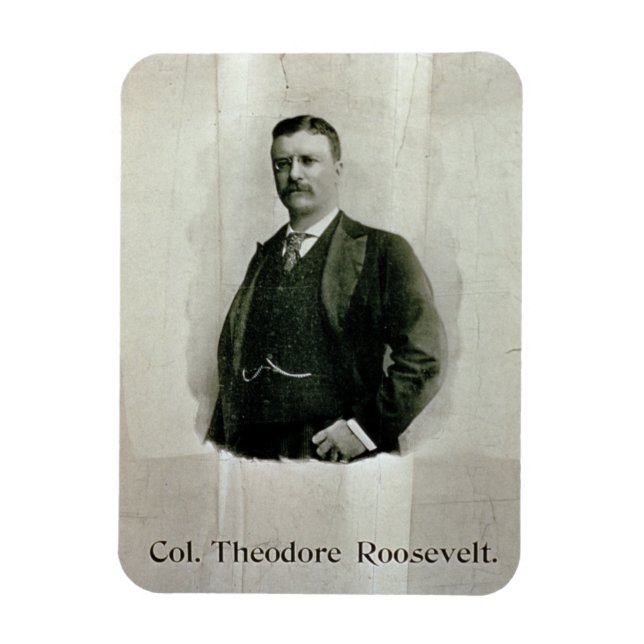 Imán Retrato del Coronel Theodore Roosevelt (litho) (Vertical)