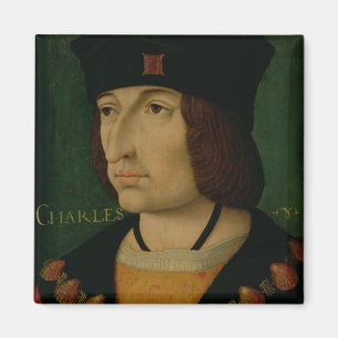 Imán Retrato del rey de Charles VIII de Francia