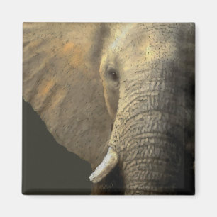 Imán Retrato elefante