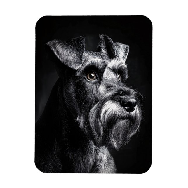 Imán Retrato monocromo de Schnauzer flexible (Vertical)