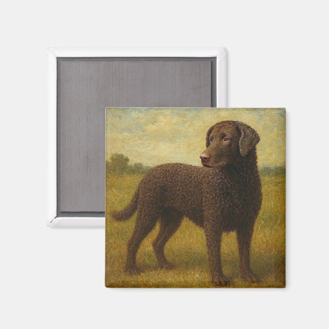 Imán Retriever de Costa Rizada (Anverso/Reverso)