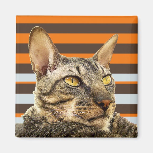 Imán Retro Benson Magnet (Frente)