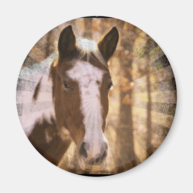 Imán Retro Pinto (Frente)