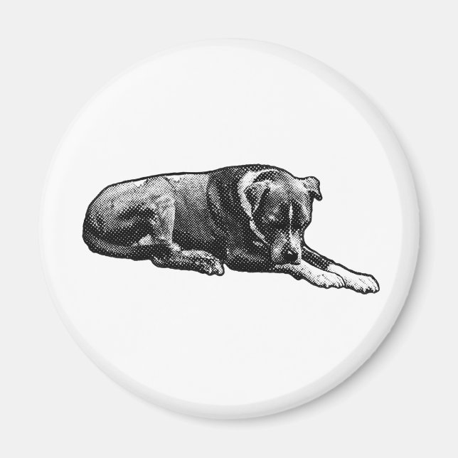 Imán Retro Watch Dog Magnet (Frente)