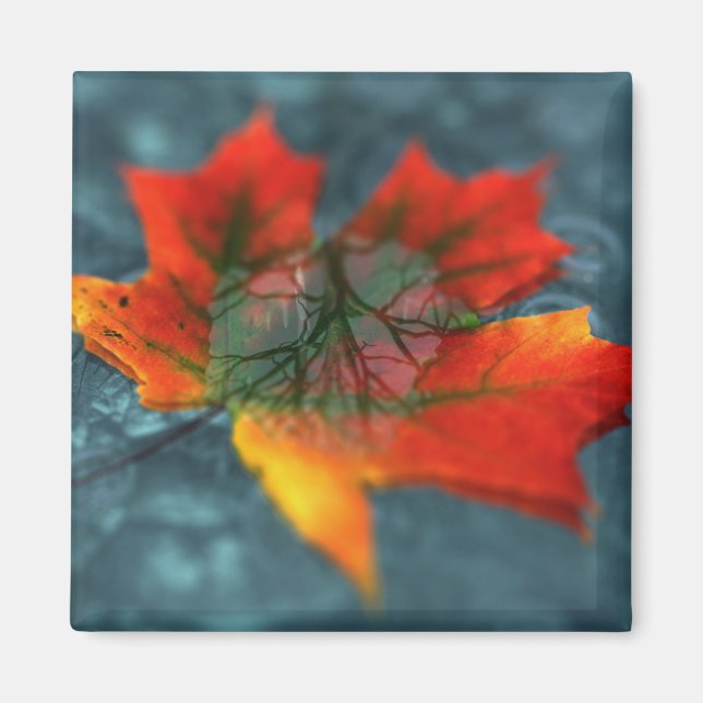 Imán Retroreflection Magnet (Frente)