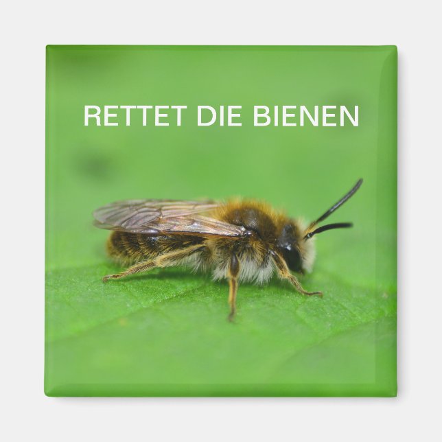 Imán Rettet die Bienen (Frente)