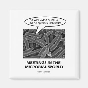 Imán Reuniones en el mundo microbiano (detección del