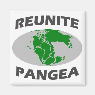 Imán Reunite Pangea
