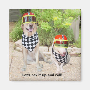 Imán ¡Rev lo para arriba y rodemos!