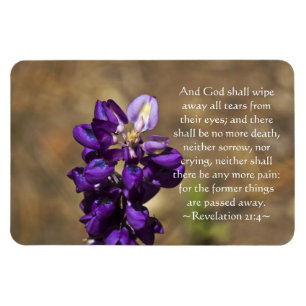 Imán Revelación 21:4