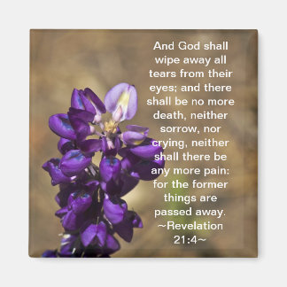 Imán Revelación 21:4