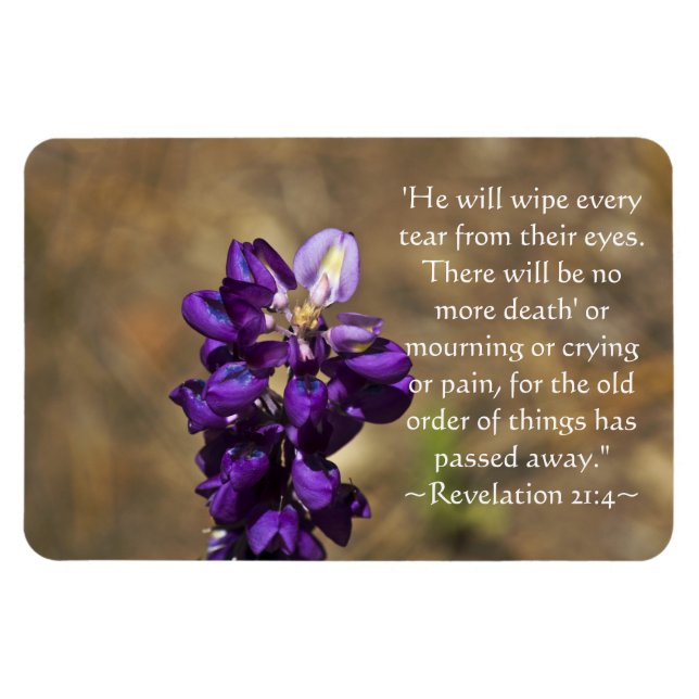 Imán Revelación 21:4 (Horizontal)