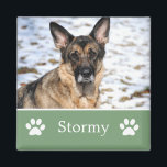Imán Revista fotográfica personalizada de Mascota verde<br><div class="desc">Revista fotográfica Mascota verde personalizada.</div>