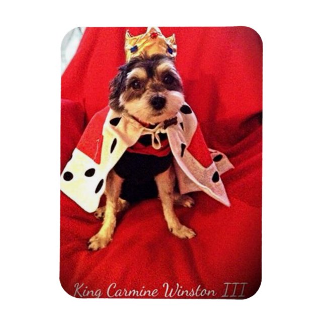 Imán Revista fotográfica Rey Carmine Winston III (Vertical)
