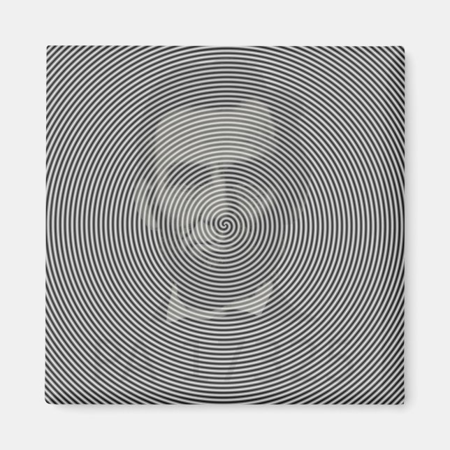 Imán Revista rápida de preguntas (Frente)