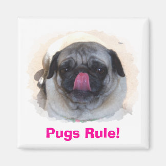 Imán Revistas fotográficas personalizadas personalizado