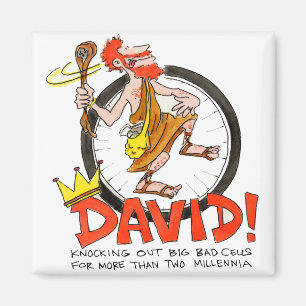 Imán Rey David Pin