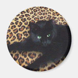 Imán Rey de la selva