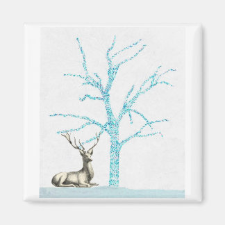 Imán Rey del bosque