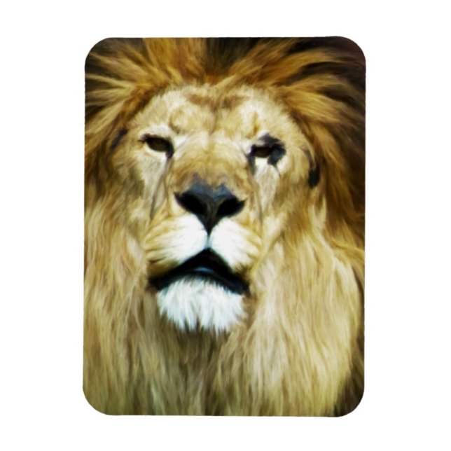 Imán Rey imperfecto (Vertical)