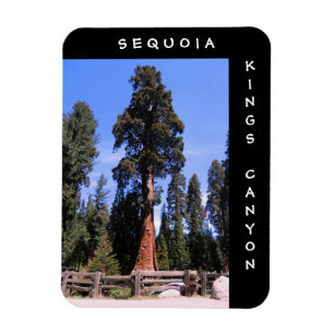Imán Reyes Canyon Magnet de la secoya