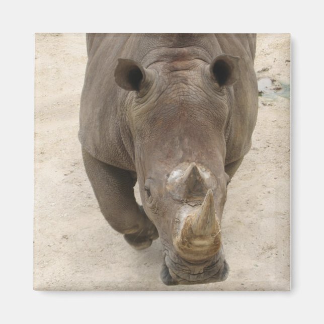 Imán Rhino (Frente)