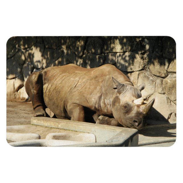 Imán Rhino durmiente (Horizontal)