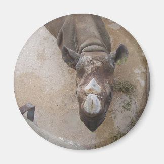 Imán Rhino en el Zoológico de San Antonio