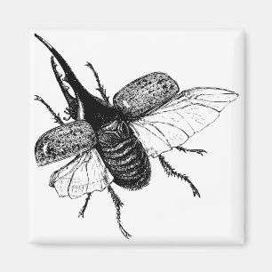 Imán Rhinoceros Beetle Vintage Wood Engrage
