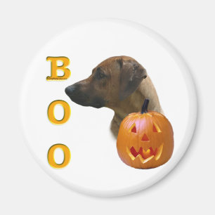 Imán Rhodesian Ridgeback Boo